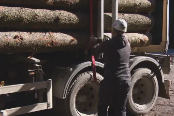 Firmy upřednostňují přepravu kamionem, po kolejích už se jim nevyplatí